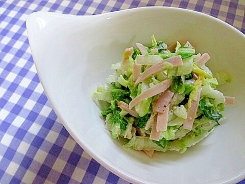 ヘルシー簡単☆胡麻が香る白菜サラダ